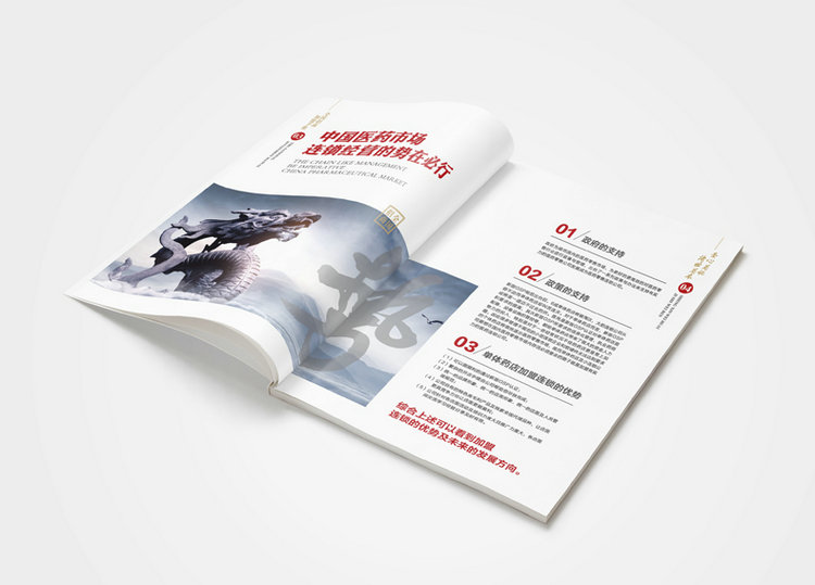 招商加盟画册设计29.jpg